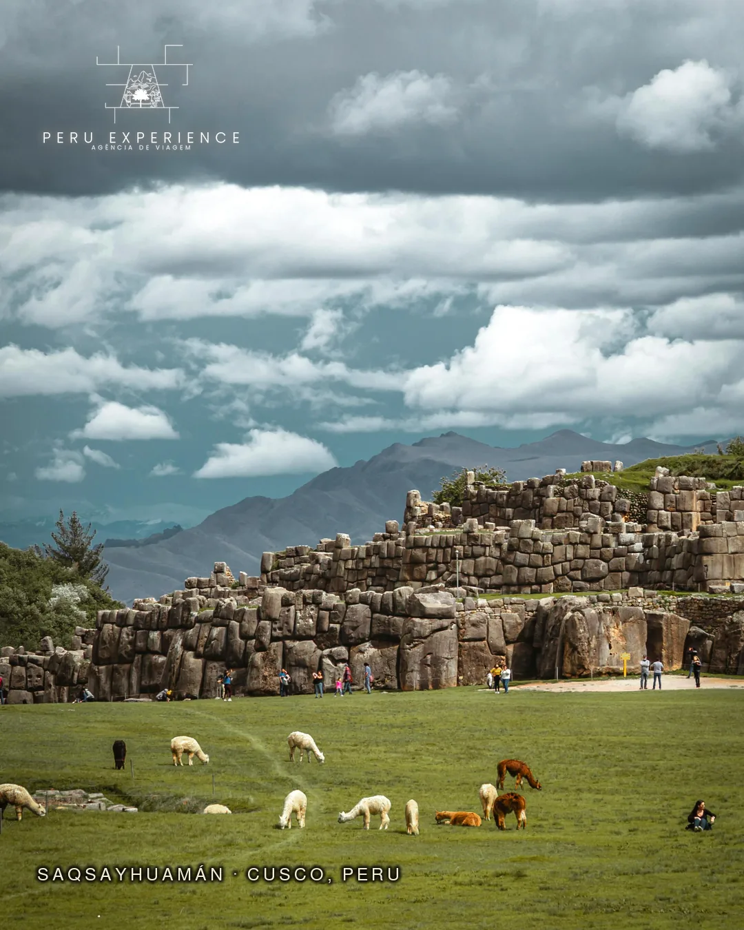 Sacsayhuaman em Cusco — ruínas incas com alpacas pastando, fortaleza megalítica visitada no City Tour DIA 2 do pacote