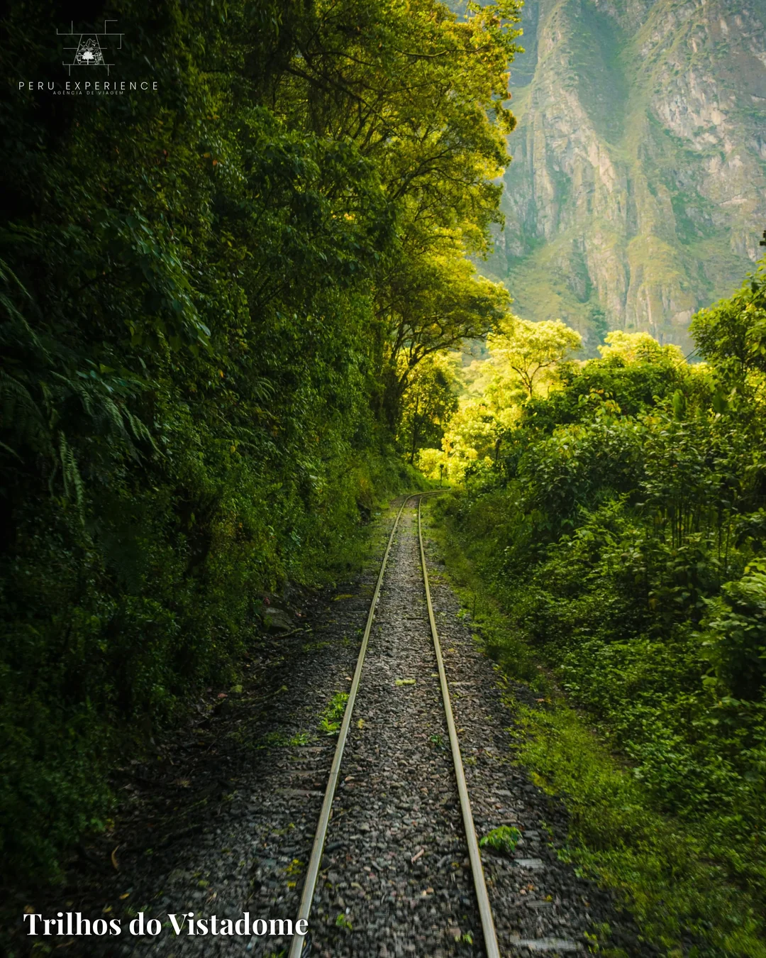 Trilhos do trem Vistadome PeruRail em meio à vegetação andina — opção premium do pacote (DIA 6)
