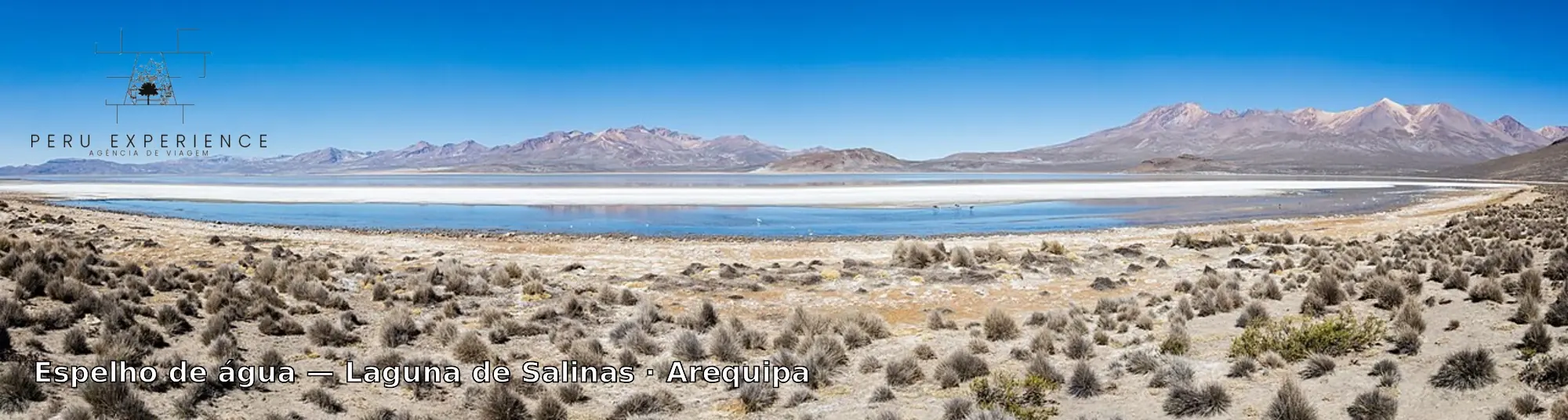 Vista panorâmica da Laguna de Salinas com a faixa branca de sal e a água refletindo os vulcões e montanhas dos Andes ao fundo, sob céu azul intenso, no altiplano de Arequipa — o espelho de água se forma na época de chuvas (janeiro a abril), criando um cenário fotográfico icônico