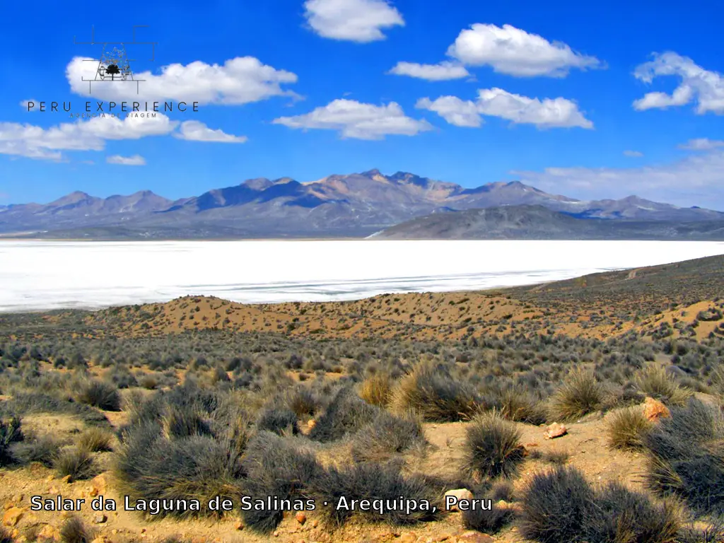 O grande salar branco da Laguna de Salinas visto de um mirante do altiplano, com vegetação de tola em primeiro plano, montanhas ao fundo e céu azul com nuvens, em Arequipa — extensa planície de sal que é o coração paisagístico da Reserva Nacional Salinas y Aguada Blanca