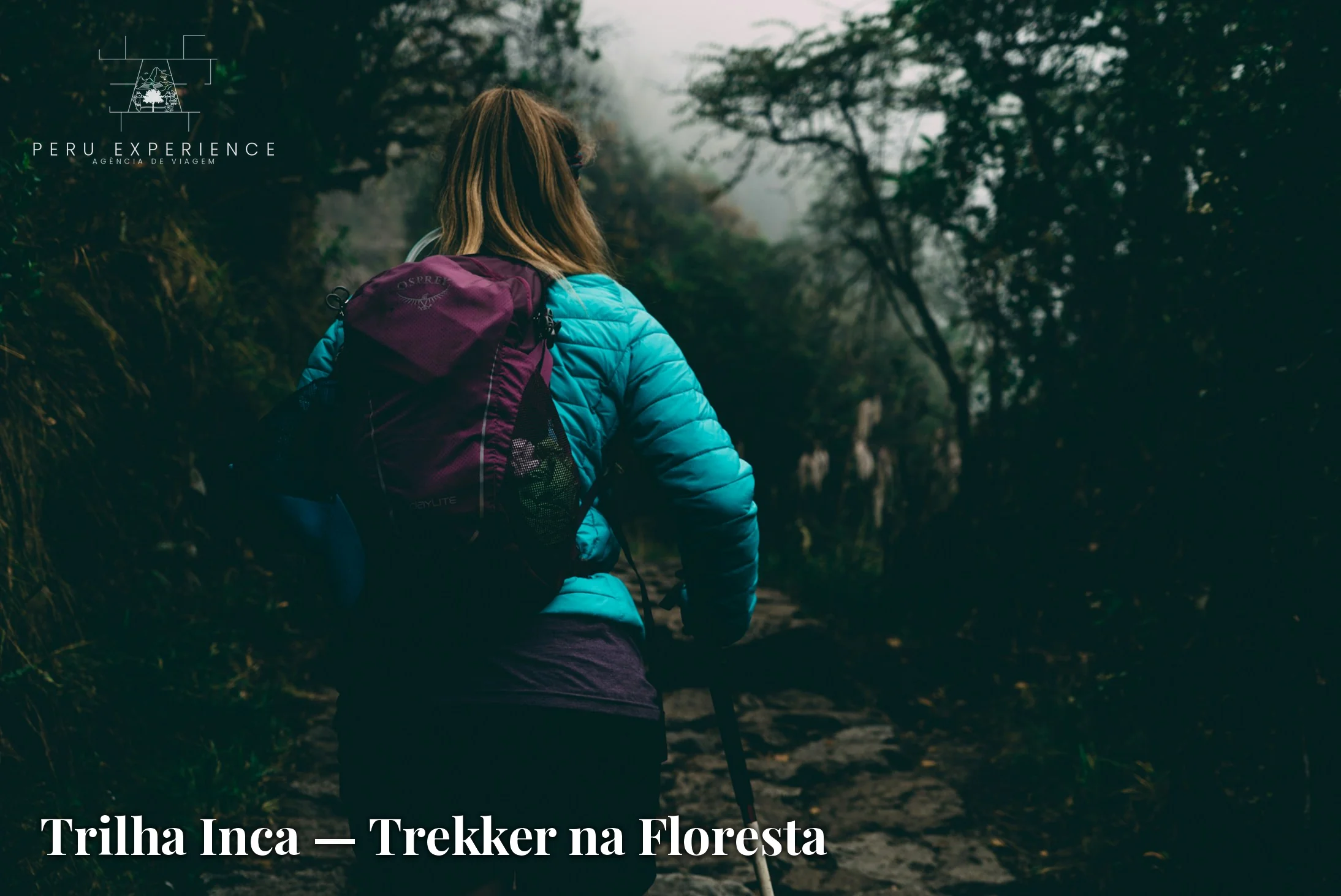 Trekker com mochila atravessando floresta nublada da selva alta — terceiro dia da Trilha Inca até Machu Picchu