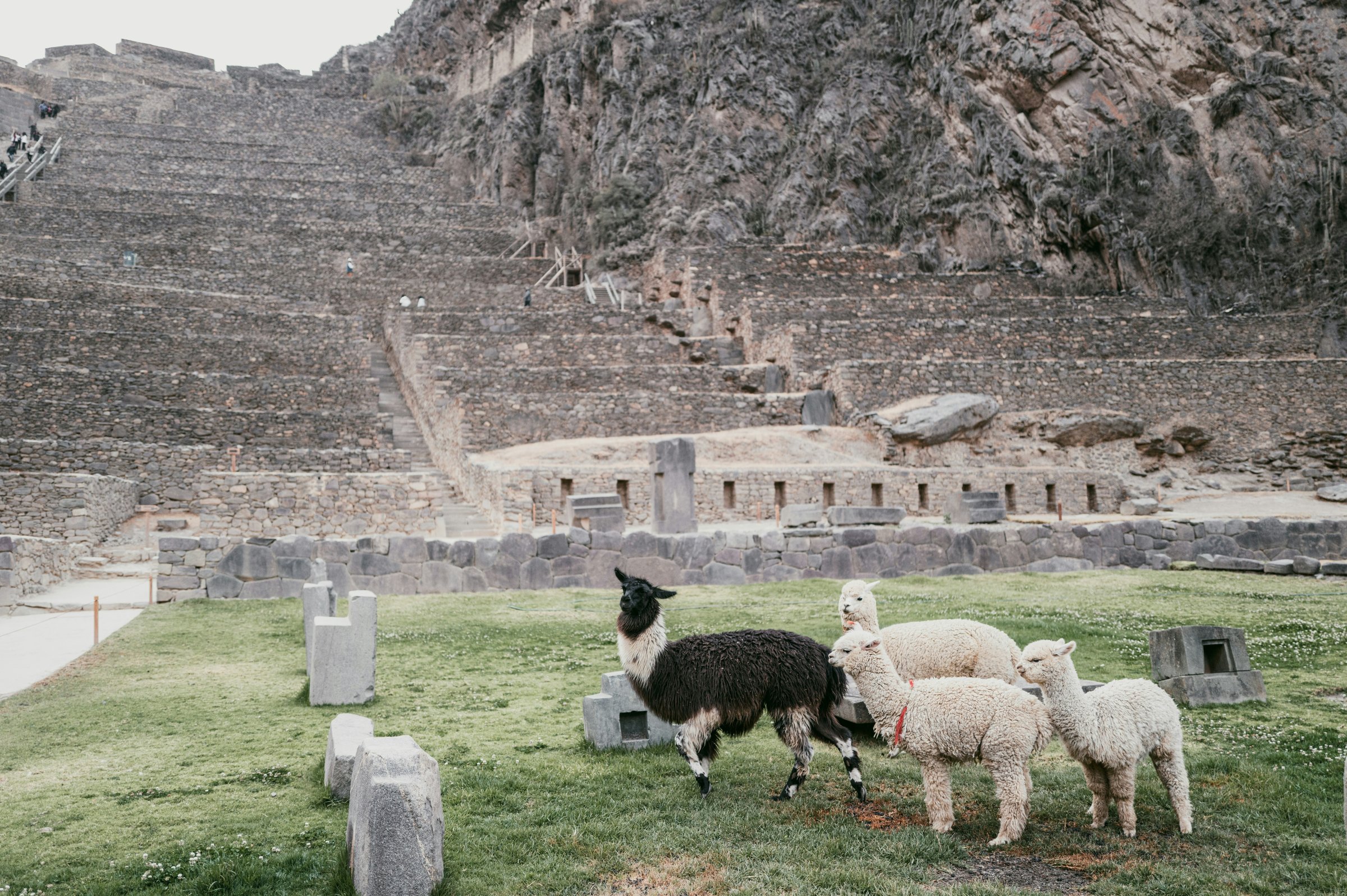 Vale Sagrado dos Incas — Ollantaytambo, Pisac e Maras